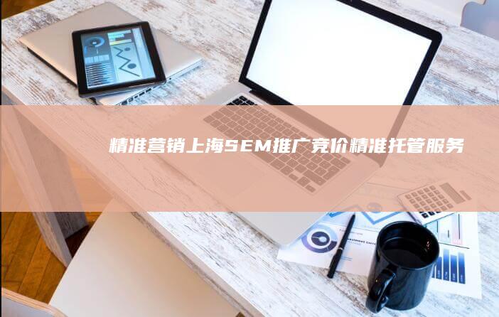 精准营销：上海SEM推广竞价精准托管服务